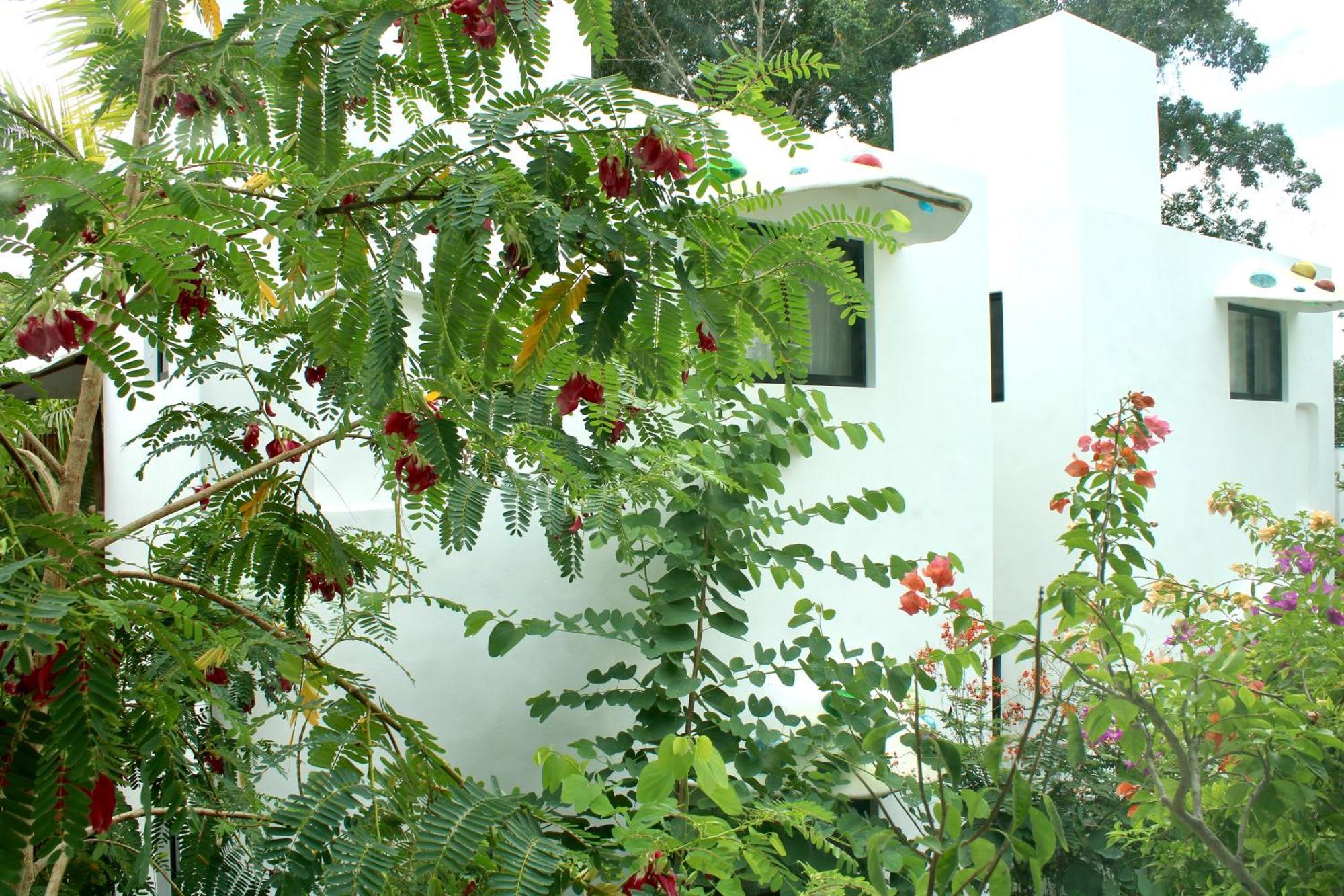 Maison Bacalar Eksteriør billede